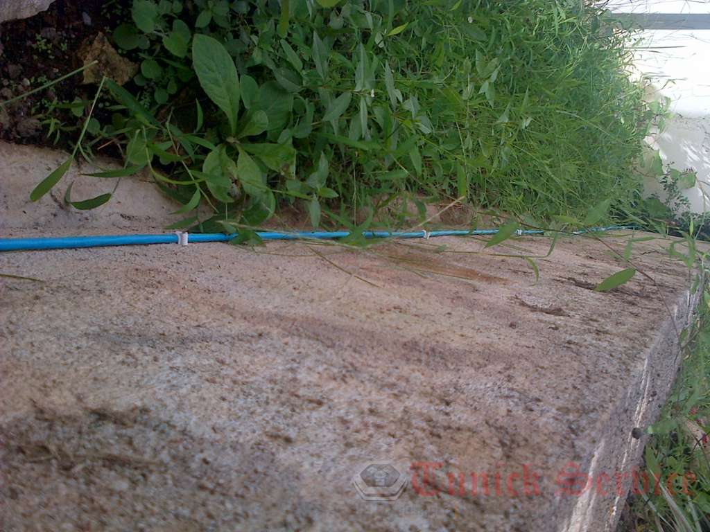 IMG-20140416-00019